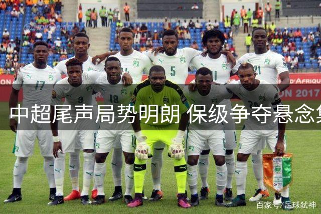 中超尾声局势明朗 保级争夺悬念集中在最后一席