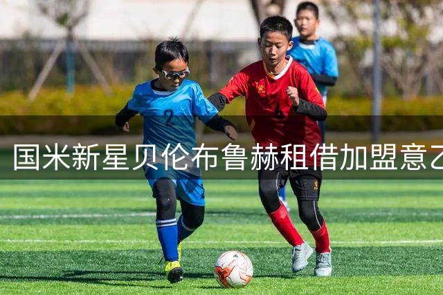 国米新星贝伦布鲁赫租借加盟意乙球队 合约含特殊条款