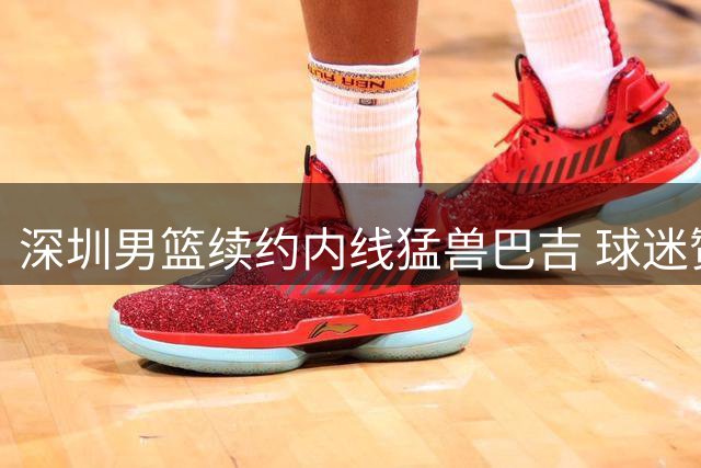 深圳男篮续约内线猛兽巴吉 球迷赞其季后赛防守表现惊艳